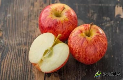 蘋果冷庫儲藏特點(diǎn),保鮮冷庫造價及影響因素(圖1) 蘋果冷庫儲藏特點(diǎn),保鮮冷庫造價及影響因素(圖1)