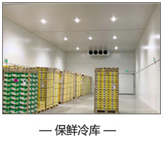 保鮮冷庫(kù).jpg 保鮮冷庫(kù).jpg