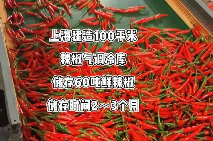 辣椒冷庫(kù)保鮮.png 辣椒冷庫(kù)保鮮.png