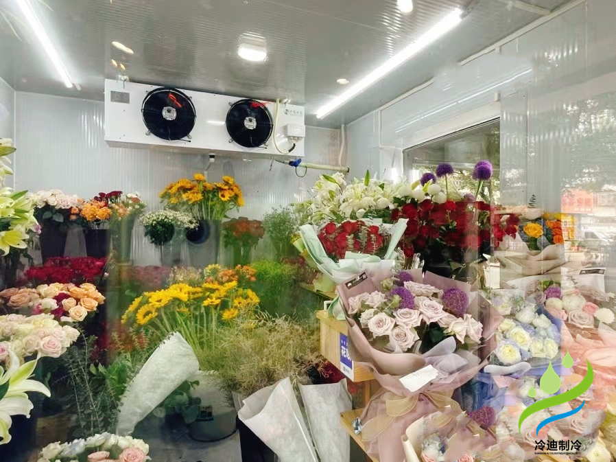 農(nóng)村建一個冷庫造價需要多少錢?(圖1) 冷庫造價