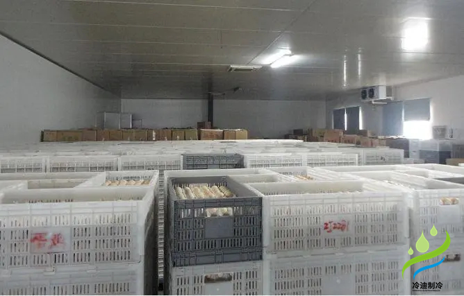 雞蛋冷庫(kù)