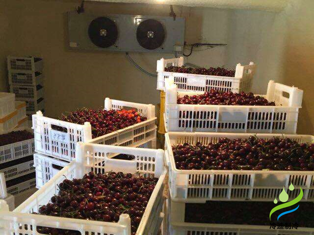 建設50噸車厘子保鮮氣調冷庫造價多少錢？