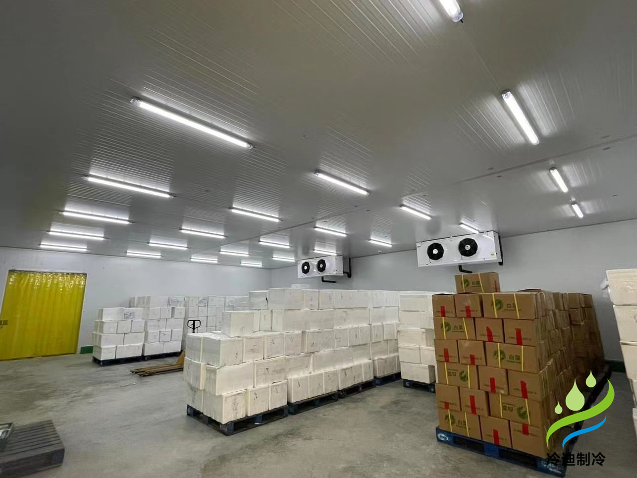 建造1000平方果蔬保鮮冷庫(kù)造價(jià)多少錢(qián)？