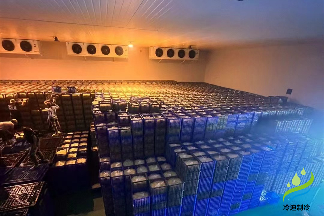 1000立方冷庫可以存多少噸？用多大制冷設(shè)備？